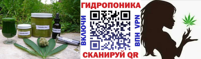 купить наркотик  Великий Устюг  гидра как войти  Еда ТГК марихуана 
